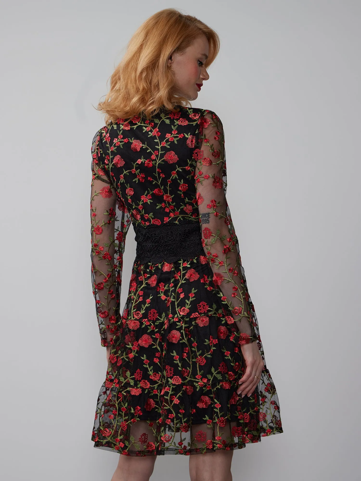 Mesh Embroidered Tiered Dress